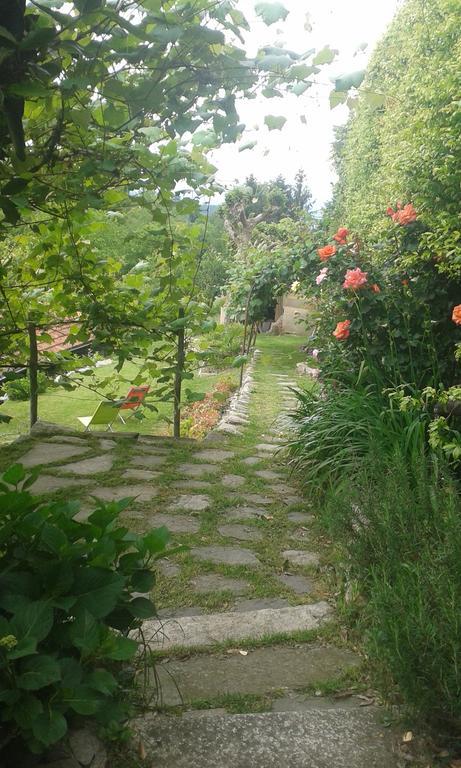 Albergo Ristorante Monterosa أمينو المظهر الخارجي الصورة